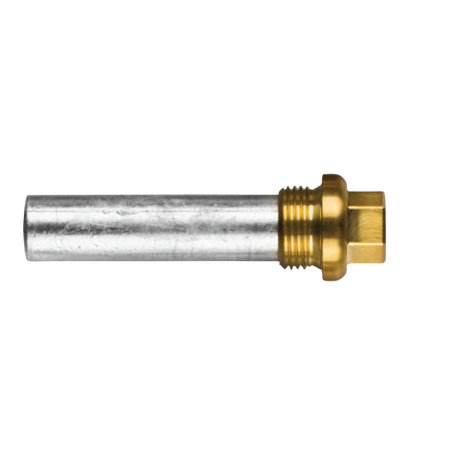 Textron-Weber-motor-potloodanode